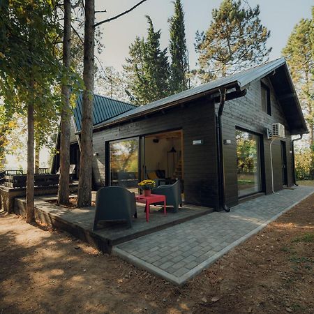 Kuca Za Odmor Vrdnik Villa Buitenkant foto