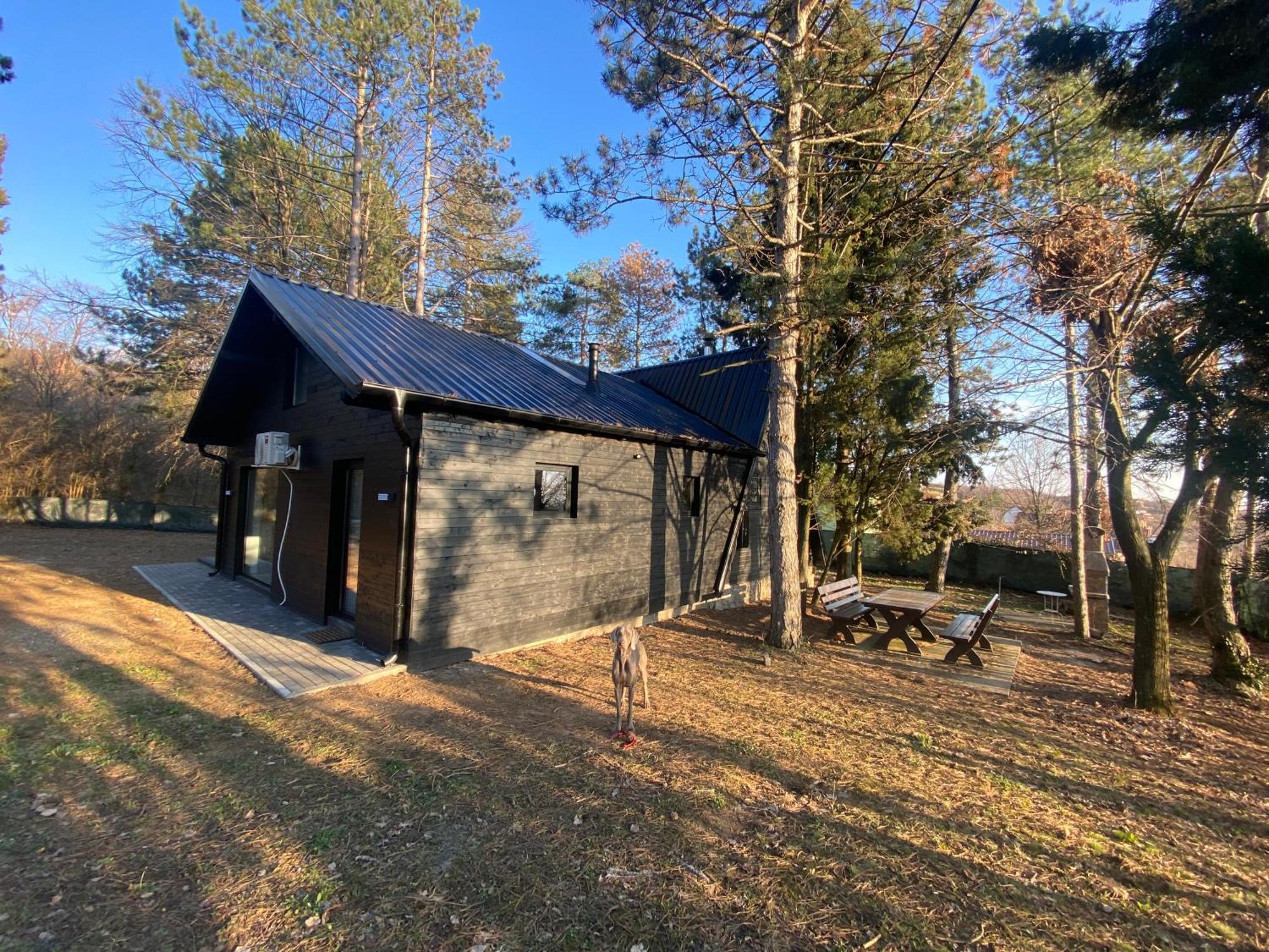 Kuca Za Odmor Vrdnik Villa Buitenkant foto