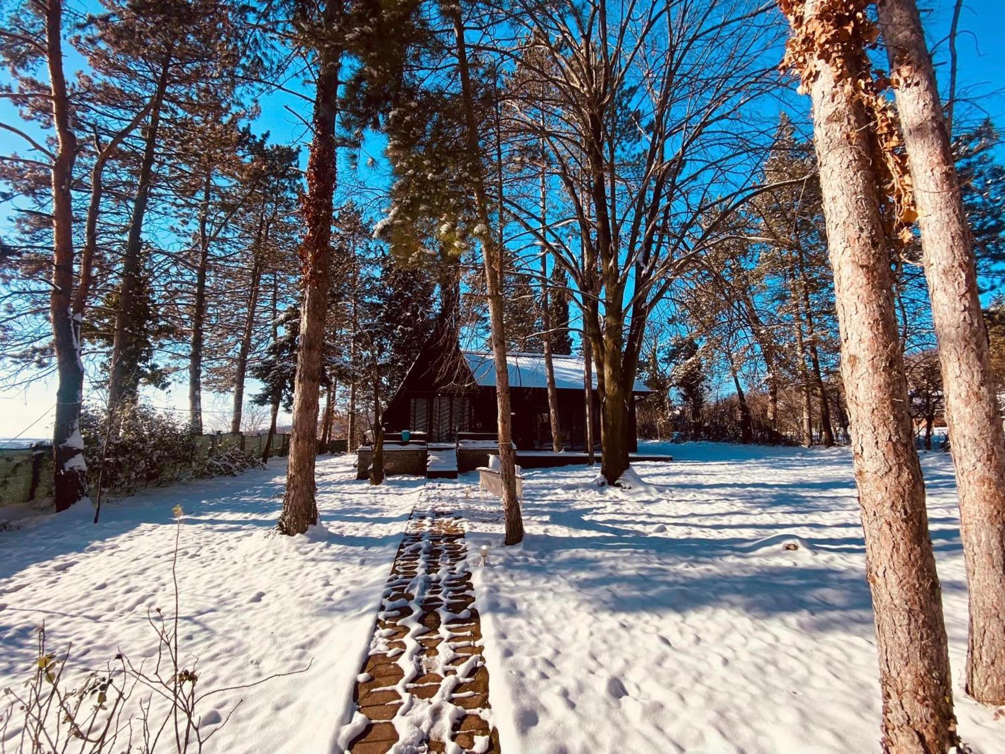 Kuca Za Odmor Vrdnik Villa Buitenkant foto