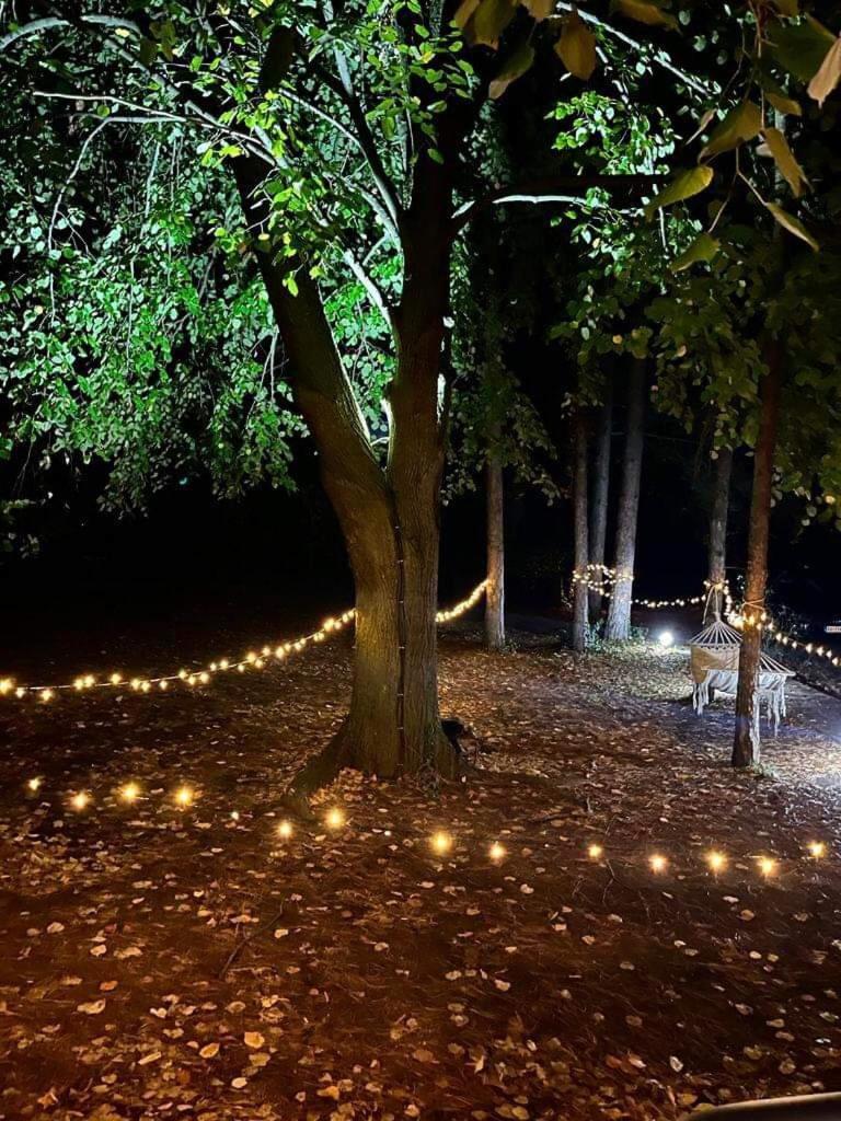 Kuca Za Odmor Vrdnik Villa Buitenkant foto