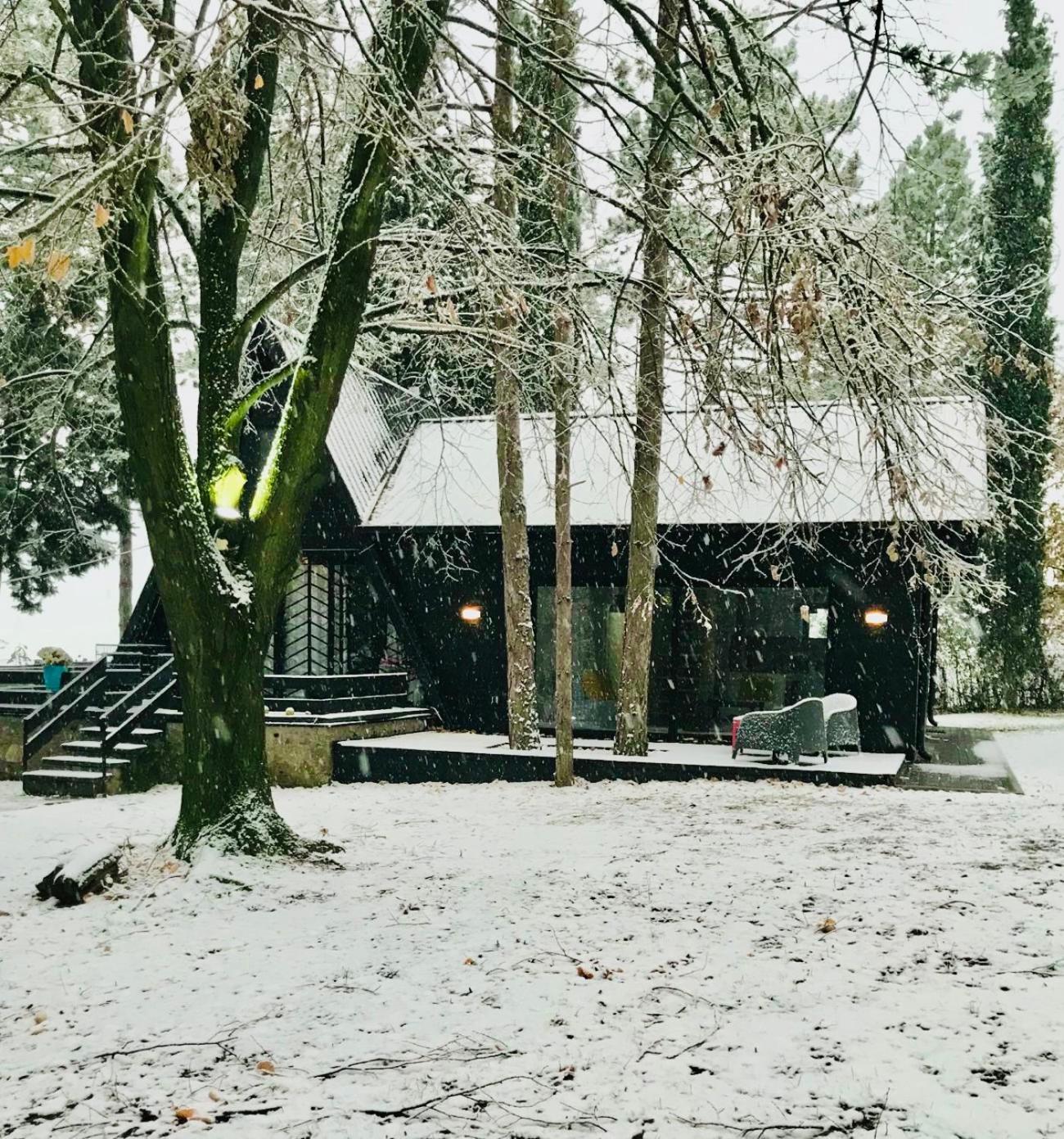 Kuca Za Odmor Vrdnik Villa Buitenkant foto