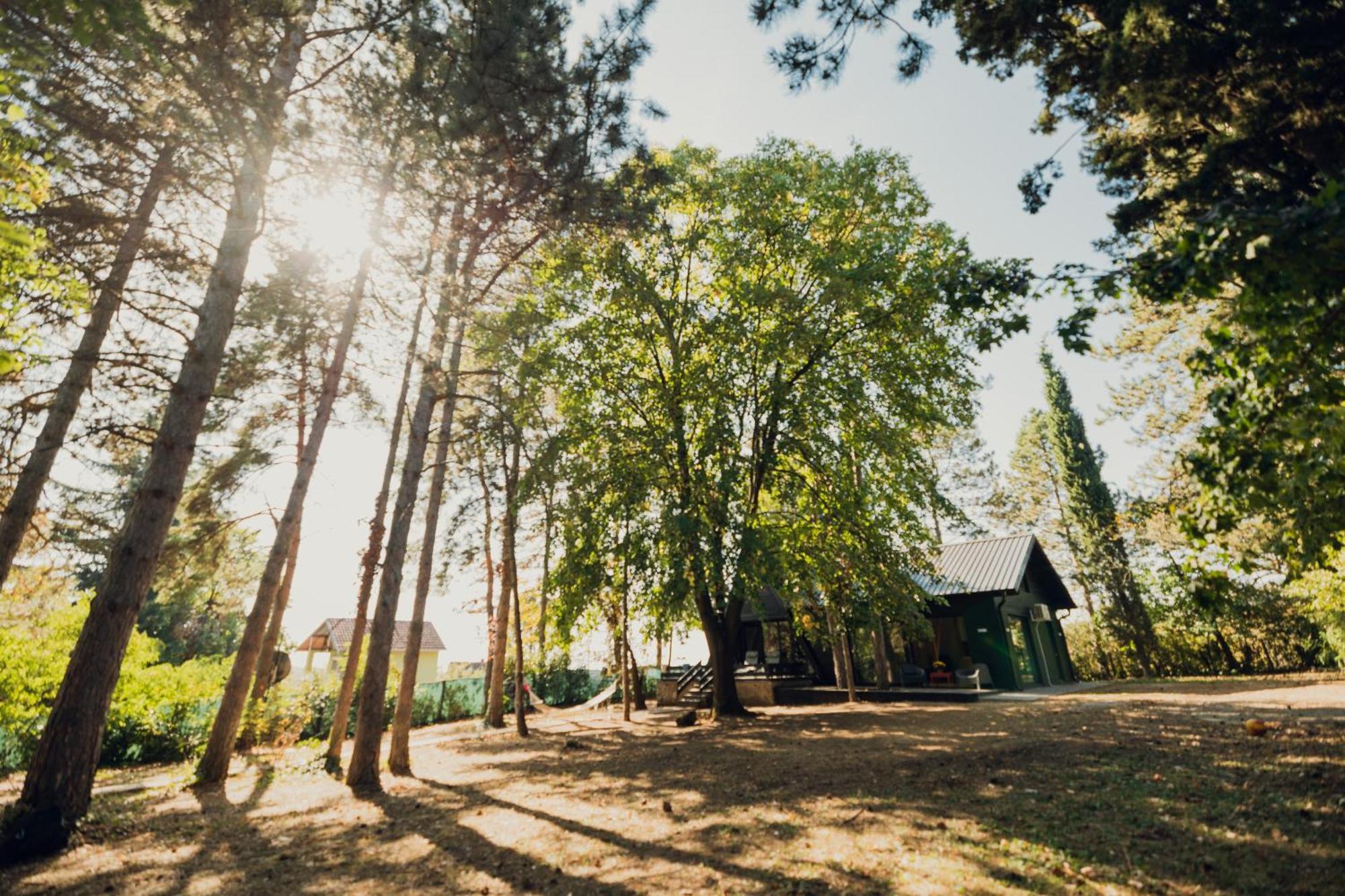 Kuca Za Odmor Vrdnik Villa Buitenkant foto