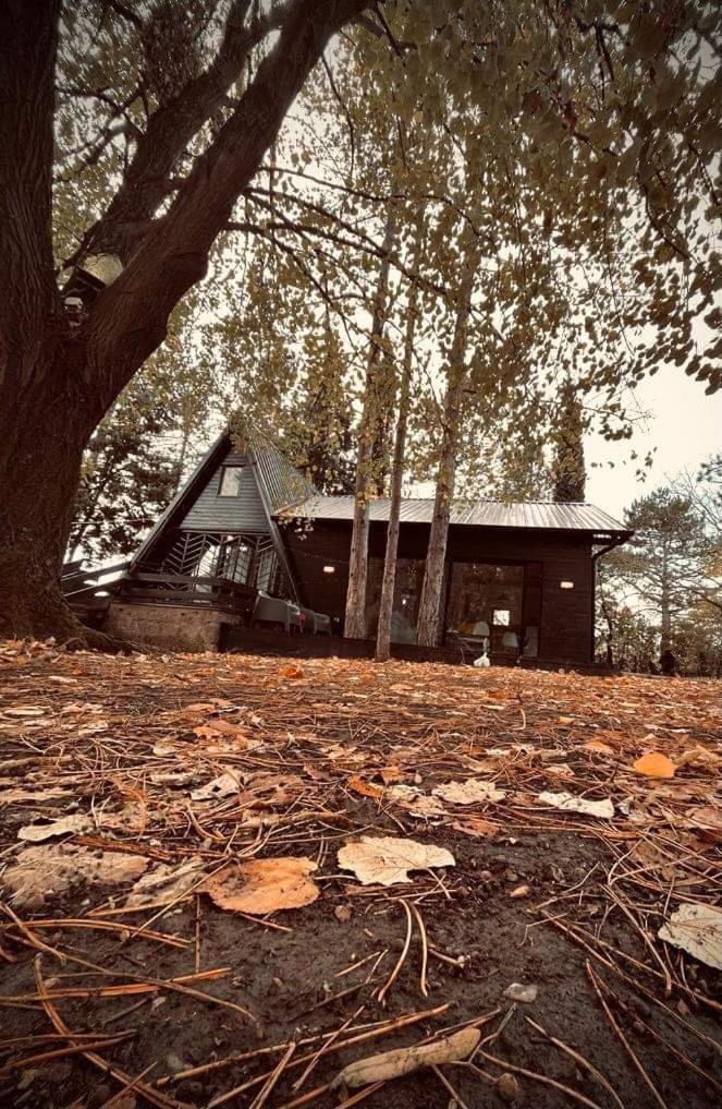 Kuca Za Odmor Vrdnik Villa Buitenkant foto